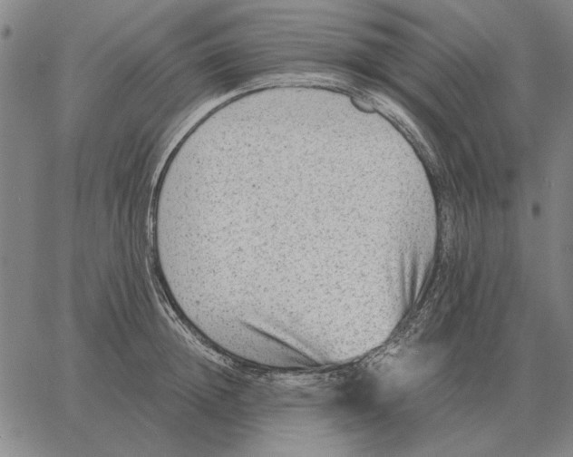 X0000061720852200512231407