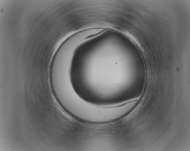 X0000061720854200512231407