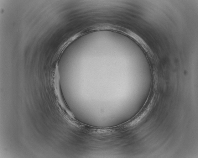 X0000061720857200512231407