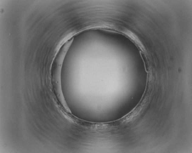 X0000061720858200512231407