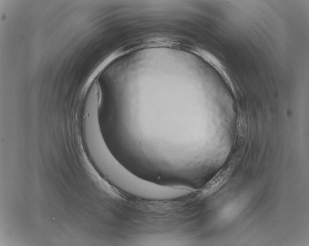 X0000061720859200512231407