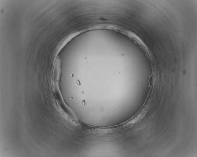 X0000061720860200512231407