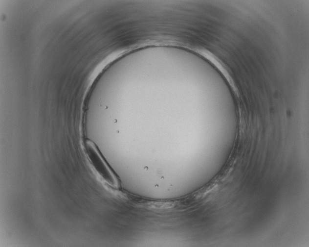 X0000061720861200512231407