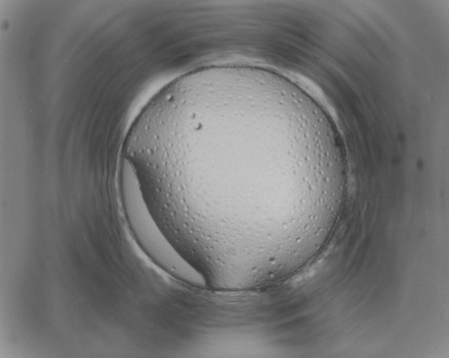 X0000061720863200512231407