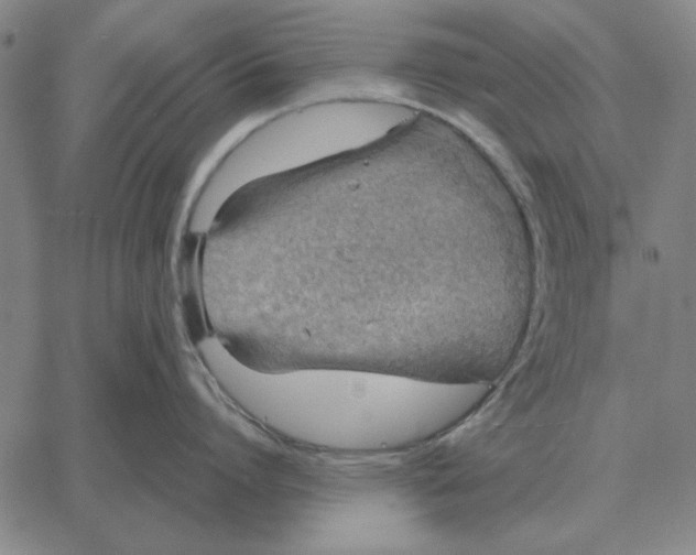 X0000061720864200512231407