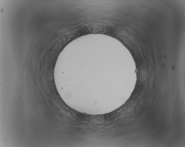 X0000061720865200512231406