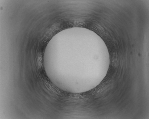 X0000061720866200512231406