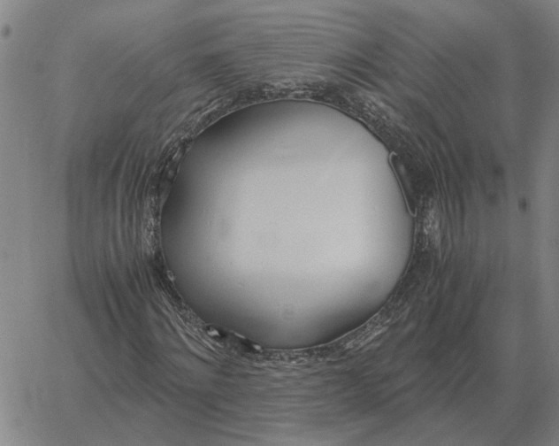 X0000061720868200512231406