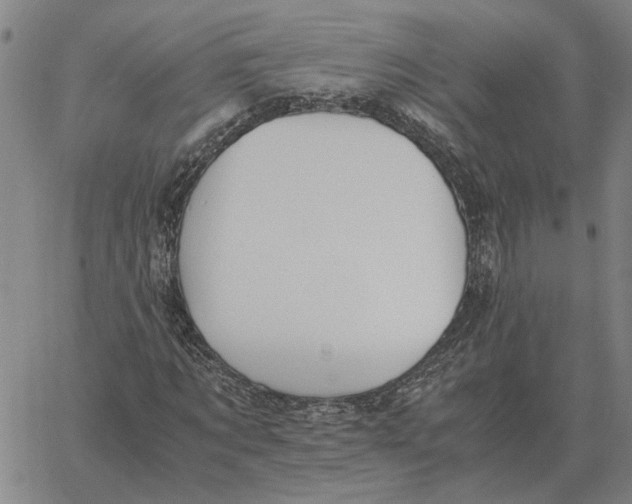 X0000061720869200512231406