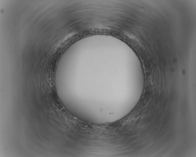 X0000061720870200512231406