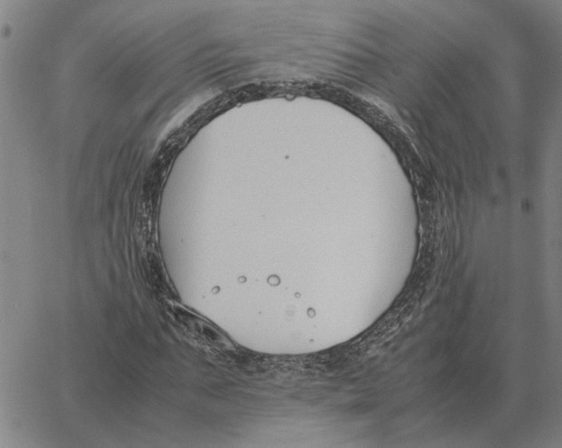 X0000061720871200512231406