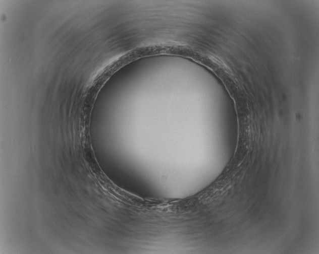 X0000061720872200512231406