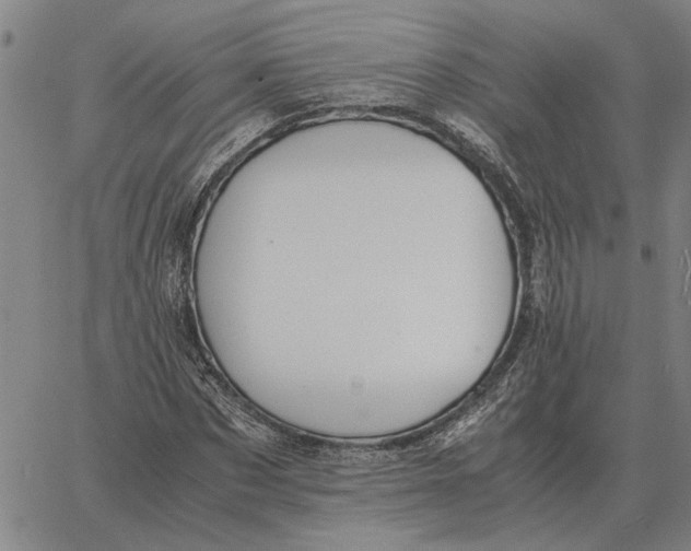 X0000061720873200512231406