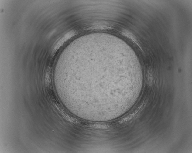 X0000061720874200512231406