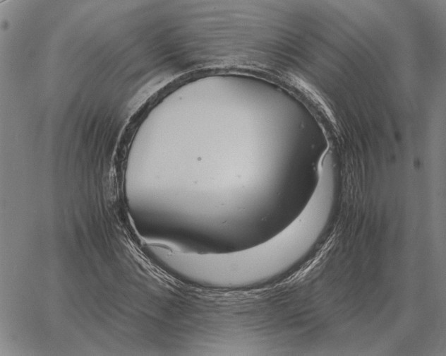 X0000061720876200512231406