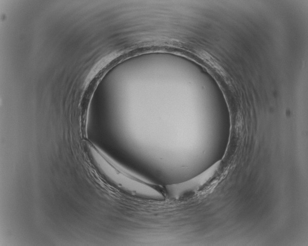 X0000061720877200512231406