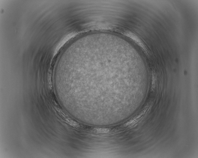 X0000061720878200512231406