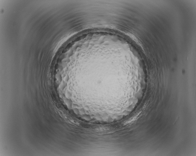 X0000061720879200512231406