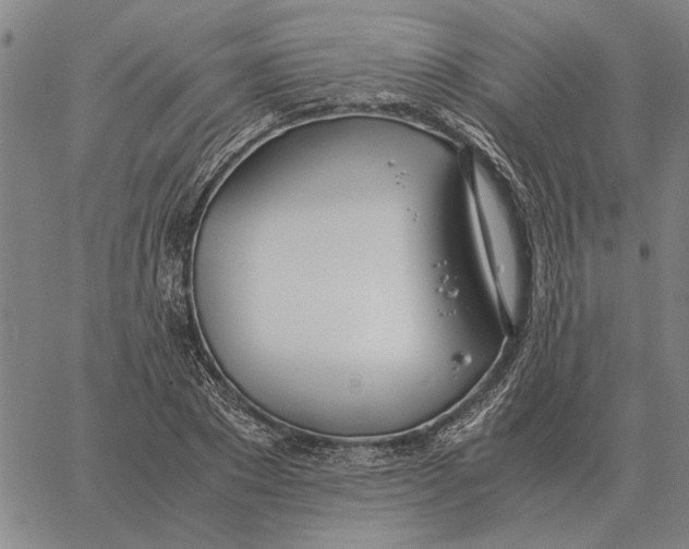 X0000061720881200512231406