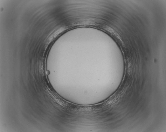 X0000061720882200512231406