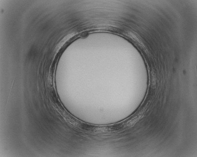 X0000061720883200512231406