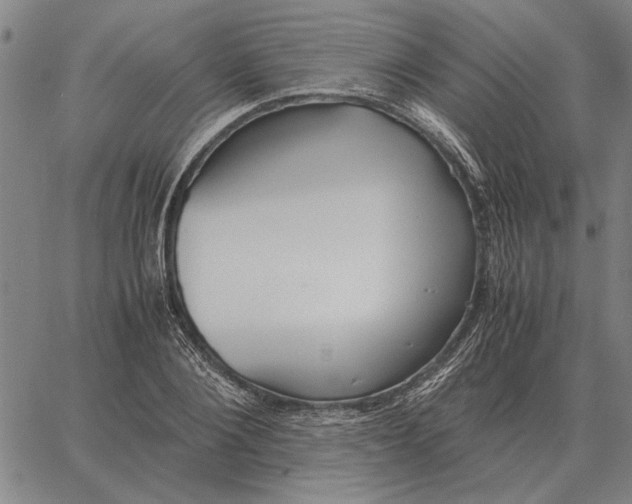 X0000061720884200512231406