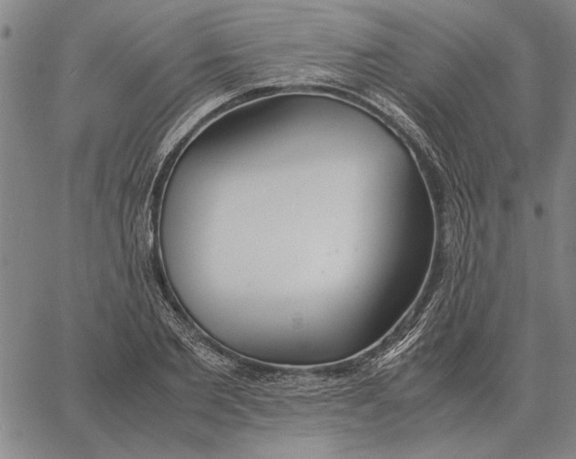 X0000061720885200512231406