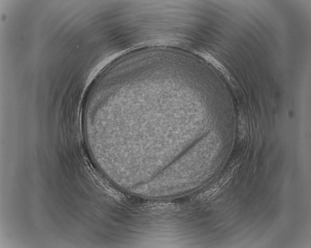 X0000061720886200512231406