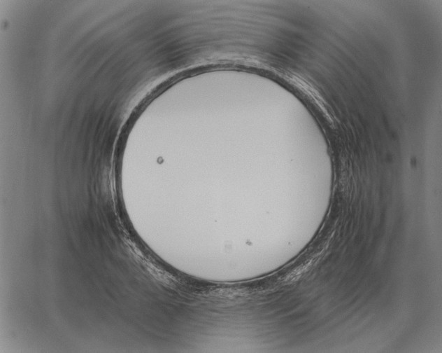 X0000061720888200512231406