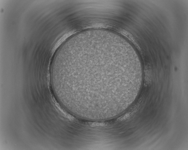 X0000061720890200512231406