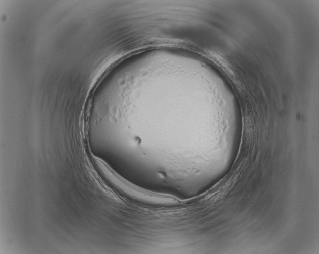 X0000061720891200512231406