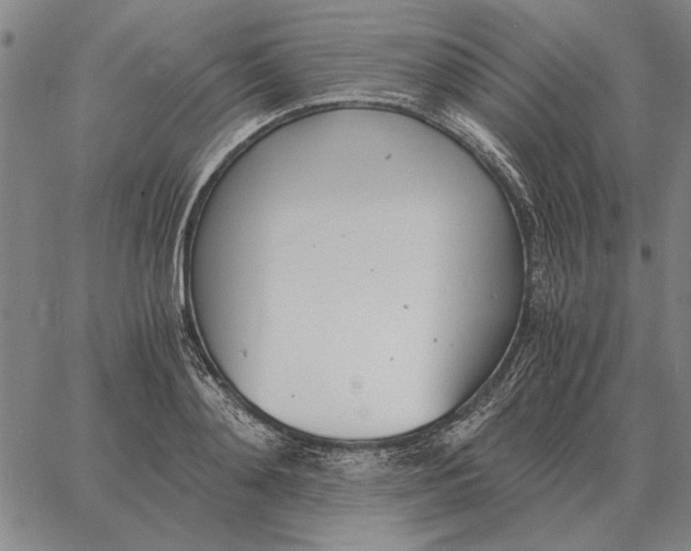 X0000061720892200512231405