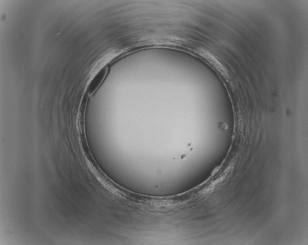 X0000061720893200512231405