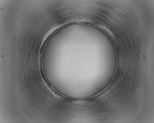 X0000061720894200512231405