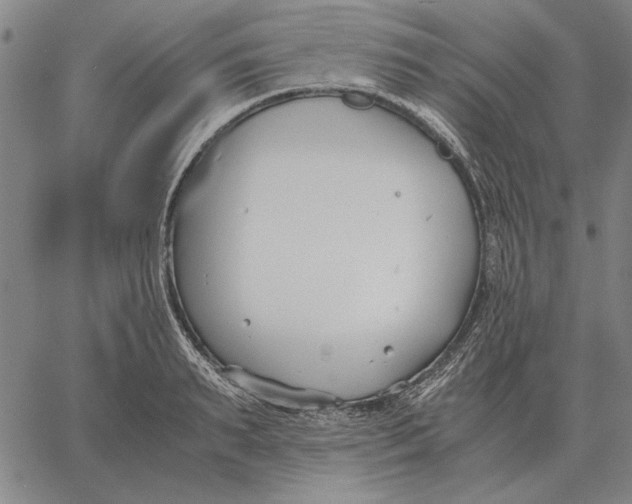 X0000061720895200512231405