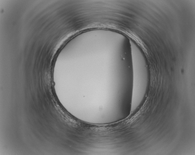 X0000061720896200512231405