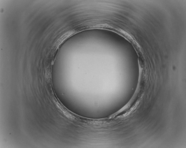 X0000061720897200512231405