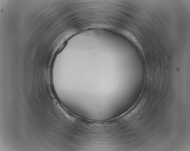 X0000061720898200512231405