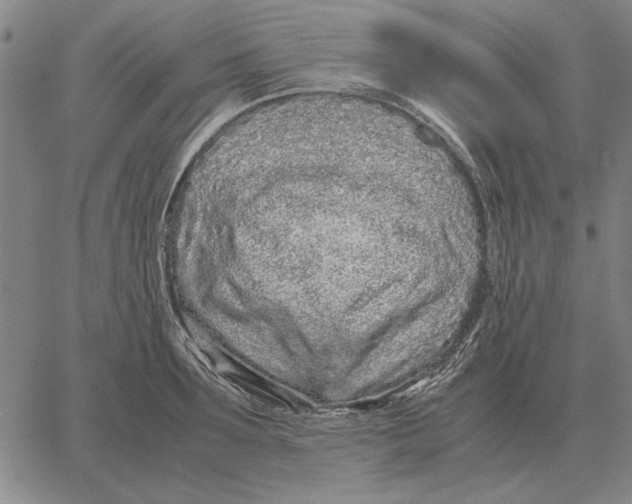 X0000061720899200512231405