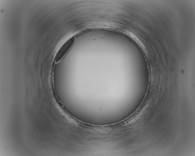 X0000061720901200512231405