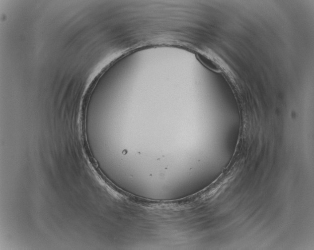 X0000061720902200512231405