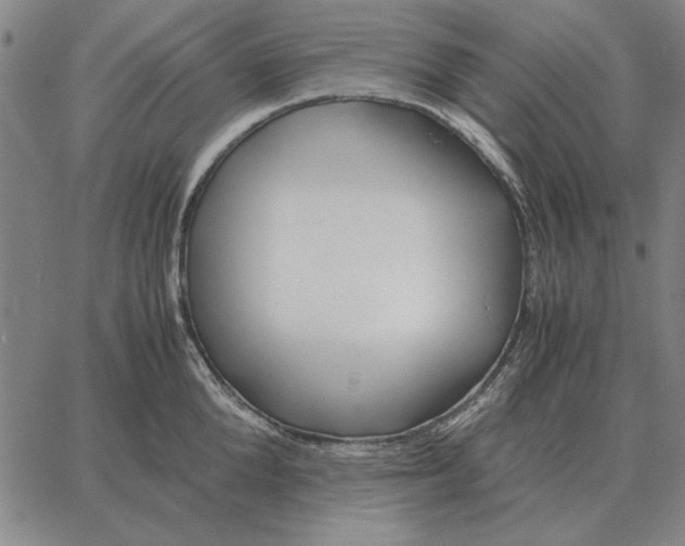 X0000061720904200512231405