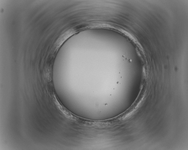 X0000061720905200512231405