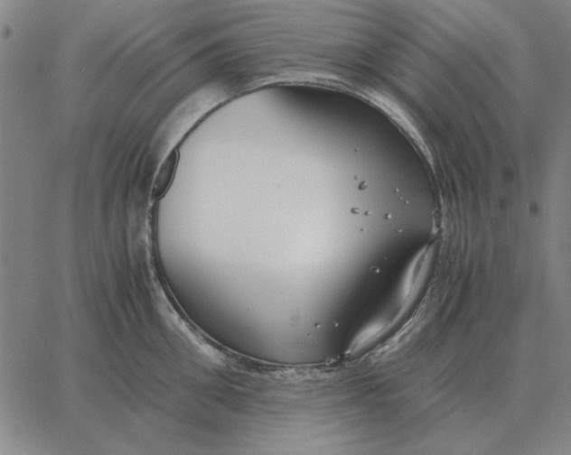 X0000061720906200512231405