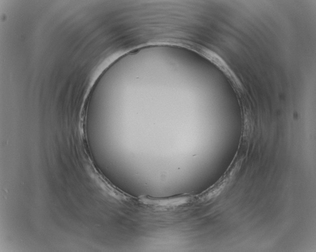 X0000061720908200512231405