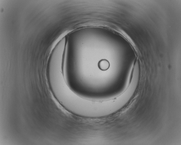 X0000061720909200512231405