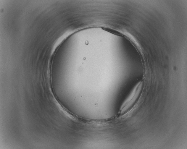 X0000061720910200512231405