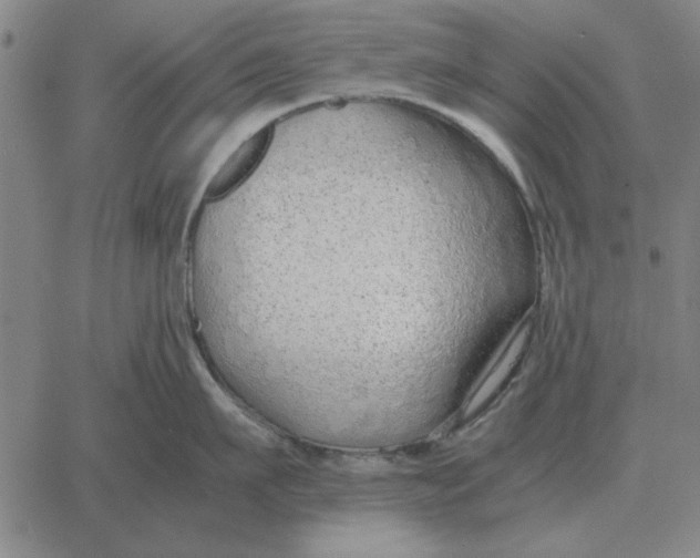 X0000061720911200512231405