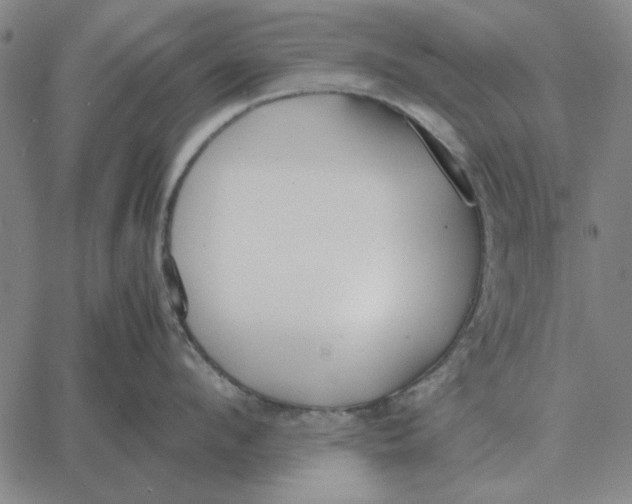 X0000061720912200512231405