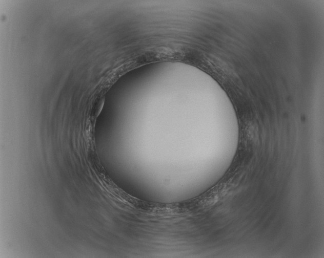 X0000061720914200512231404